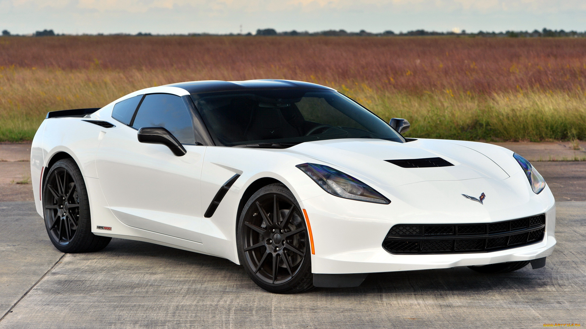 corvette, , , general, motors, 
